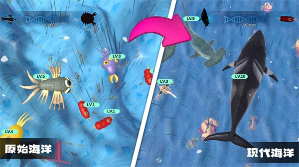 物种进化模拟器(1)
