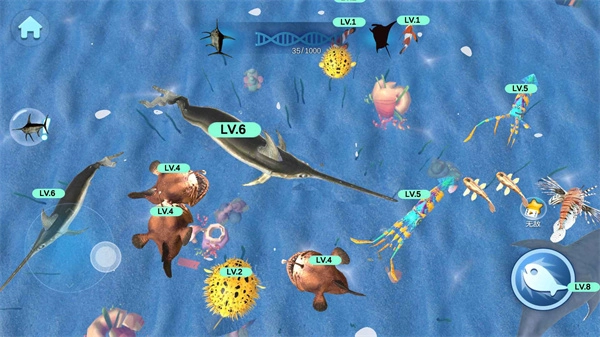 物种进化模拟器(4)