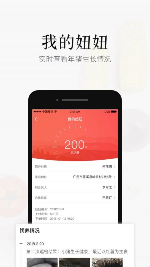 猪儿妞妞手机版