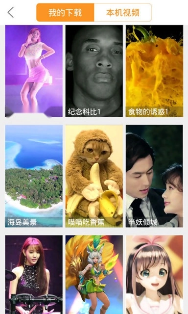 骑士视频桌面2