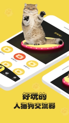 人狗猫交流器官方正版图2