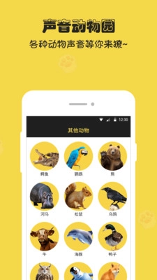 人狗猫交流器官方正版图3
