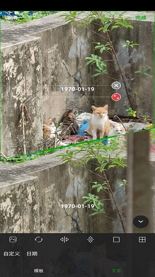 拼图九宫格安卓直装版