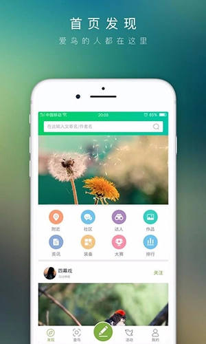 爱鸟免费版图1