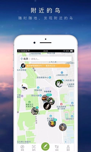 爱鸟免费版图3