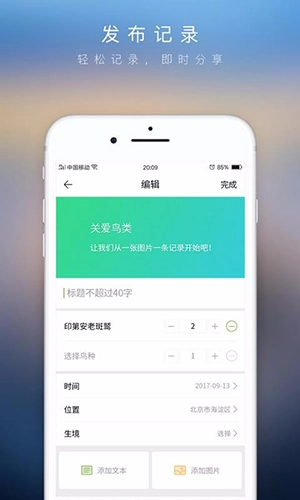 爱鸟免费版图4