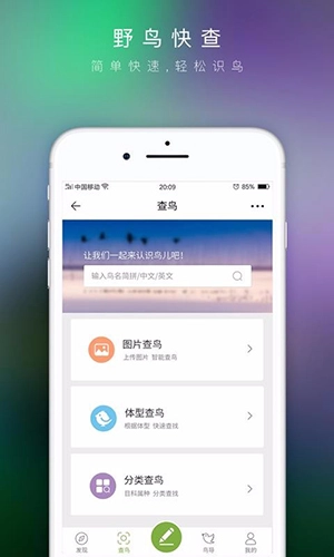 爱鸟免费版图2