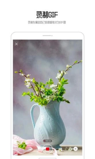 GIF动图免费原版