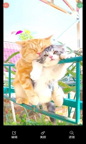 优美相机手机正版图3
