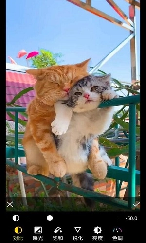 优美相机手机正版图5