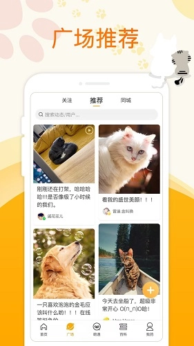萌宠大陆安卓版图2