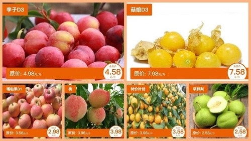 知了知屏TV版(2)