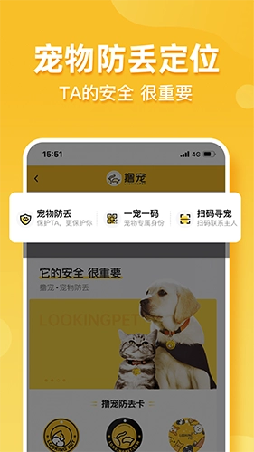 撸宠官方版图1