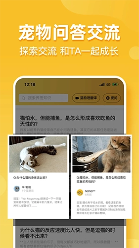 撸宠官方版图5