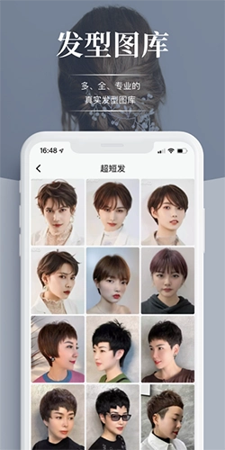 波波网正版图5