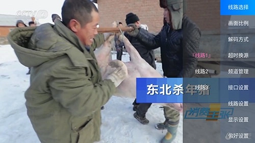 碧云TV安卓免费版图4
