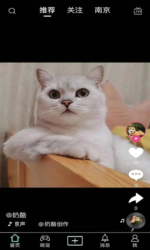 抖宠官方最新版