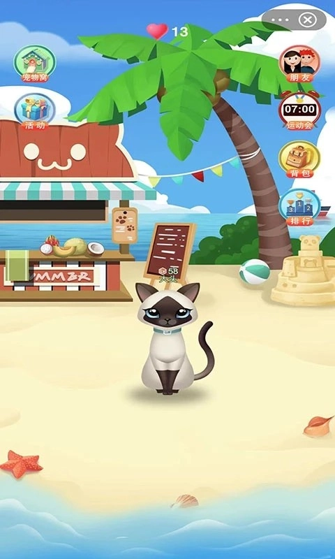 抖宠官方最新版