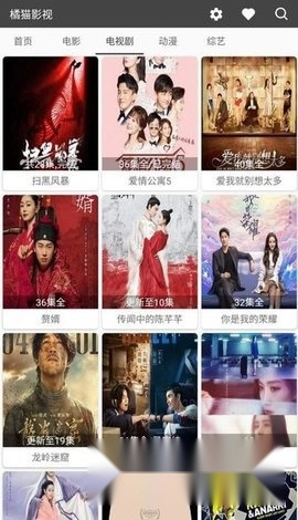 橘猫影视官方版下载