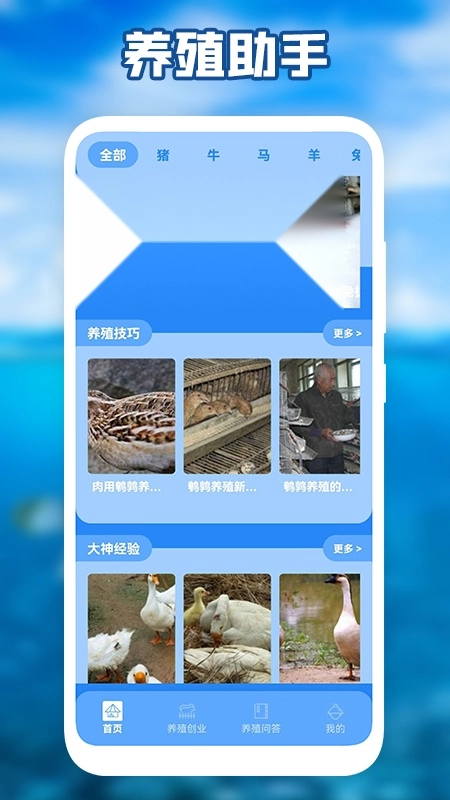 养猪场之星手机免费版图3