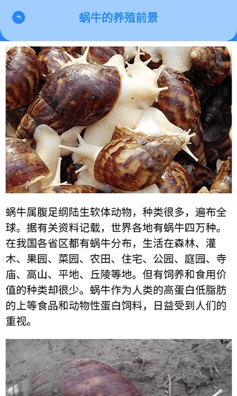 养猪场之星手机免费版图4
