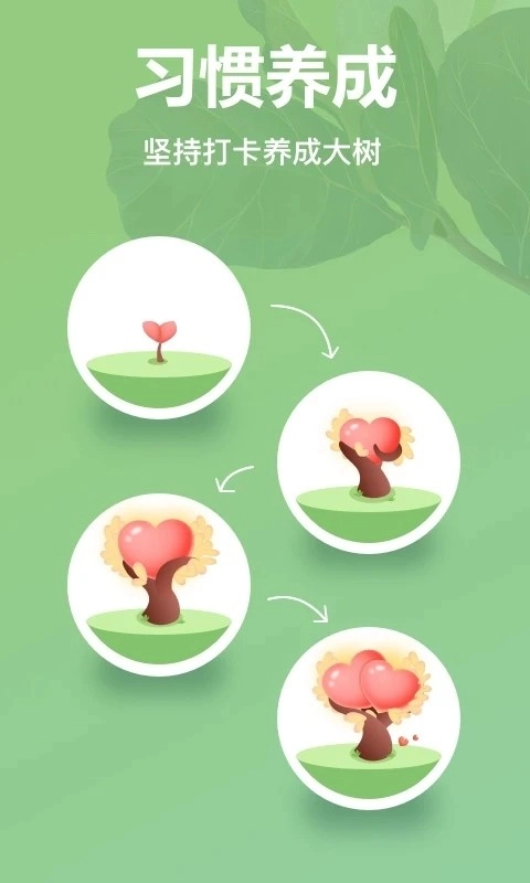 打卡森林最新免费版图3