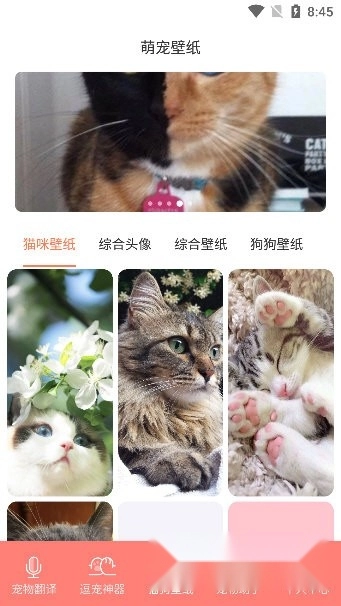 萌宠日常免费版图2