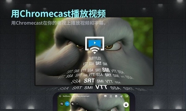 FXPlayer直装版图2
