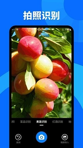 扫描识图大师免费原版图4