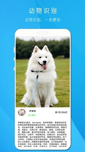 拍照识万物手机版图2