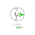 追忆影视电视版