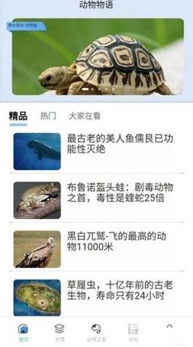 动物物语官方正版图1