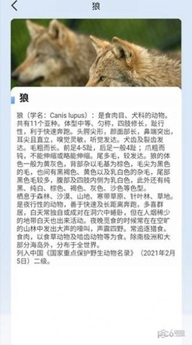 动物物语官方正版图2