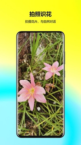 万能拍照识花官方最新版图2