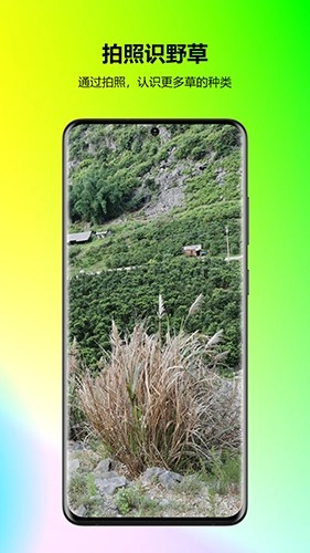 万能拍照识花官方最新版图3