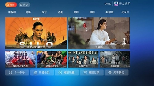 华人视界