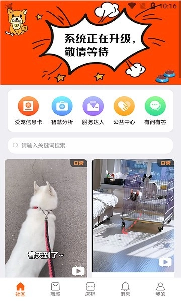 世纪天宠安卓免费版图1