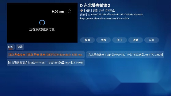 电视端播放界面展示