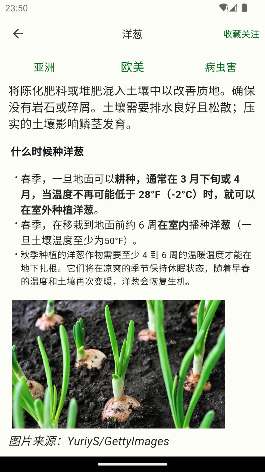鱼菜记安卓免费版图2
