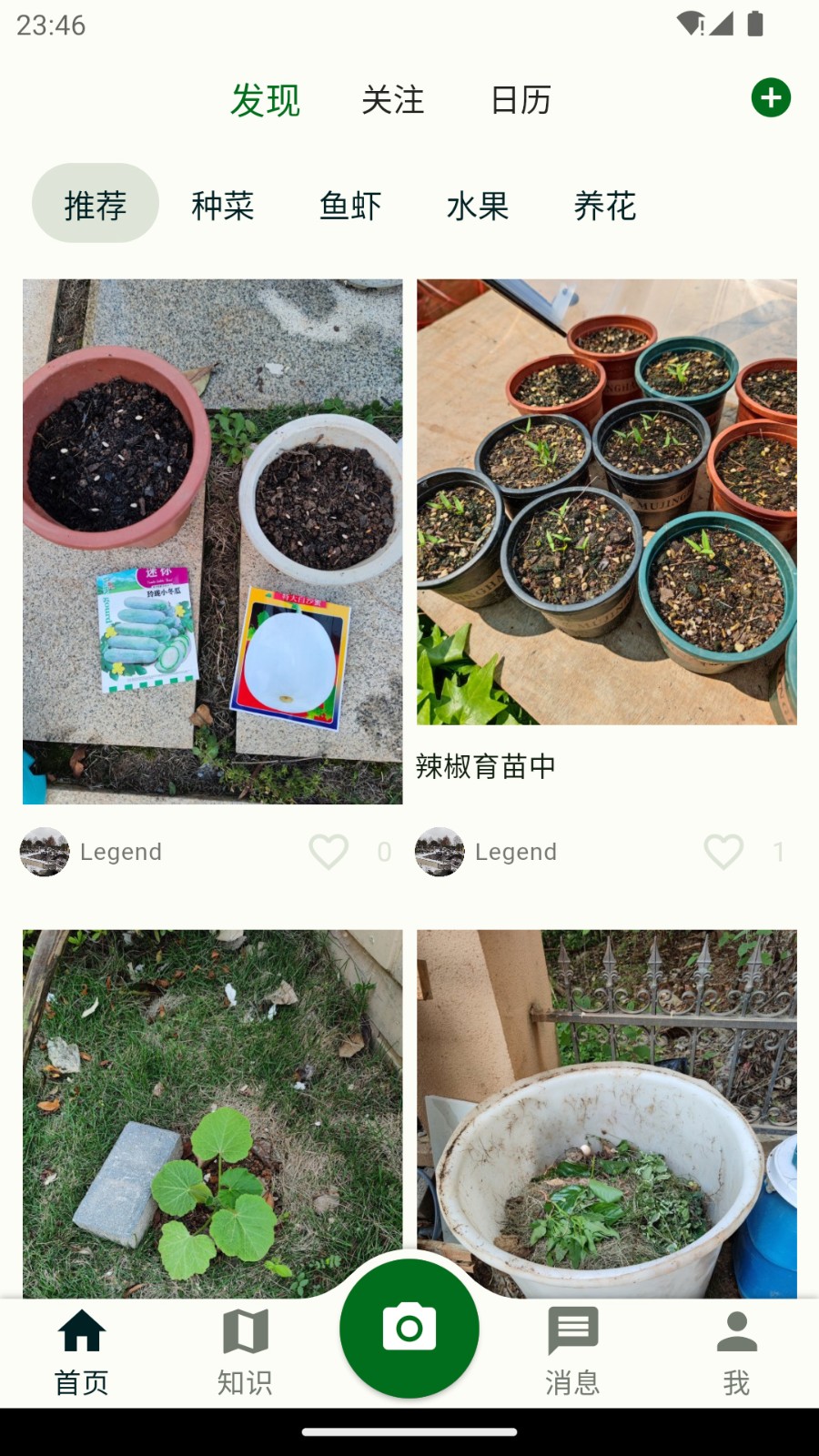 鱼菜记安卓免费版图3
