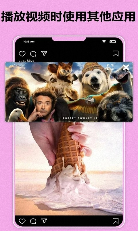MoliPlayer免费原版图3