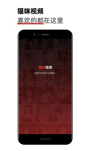 猫咪视频剪辑安卓版图2