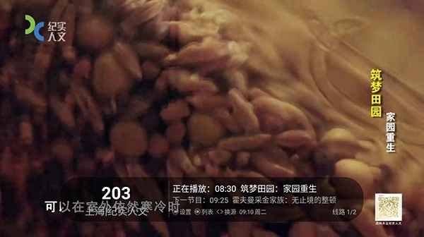 海燕TV官方正版