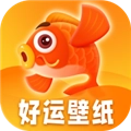 好运壁纸安卓版