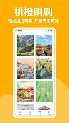 桃橙刷刷官方正版