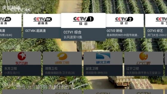 我的电视高清版截图1