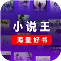 小说王最新版