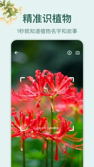小园丁通用版图1