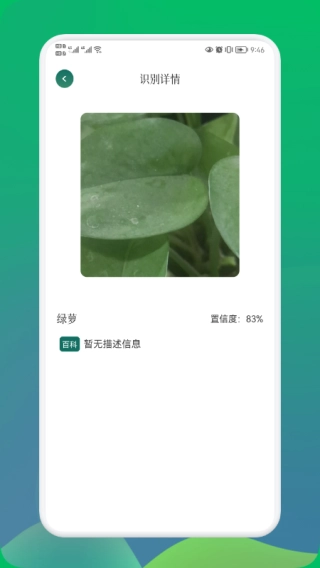 小园丁通用版图2