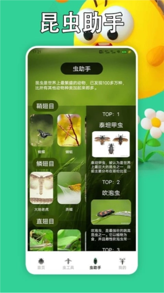 虫助手大师手机正版